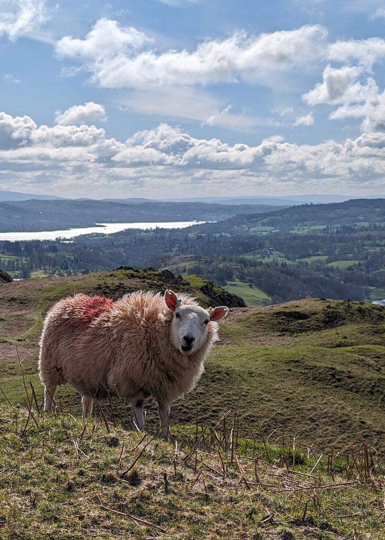 Silver How - LangdaleActive things to do in the Lake District
