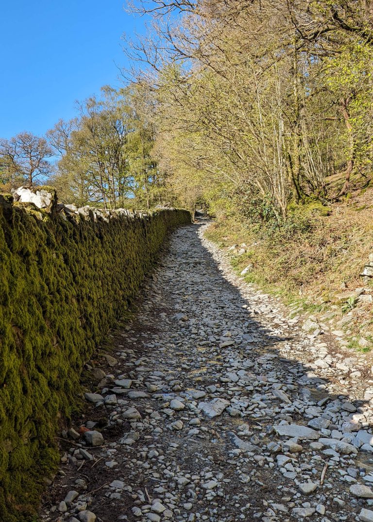 Lingmoor - LangdaleActive things to do in the Lake District