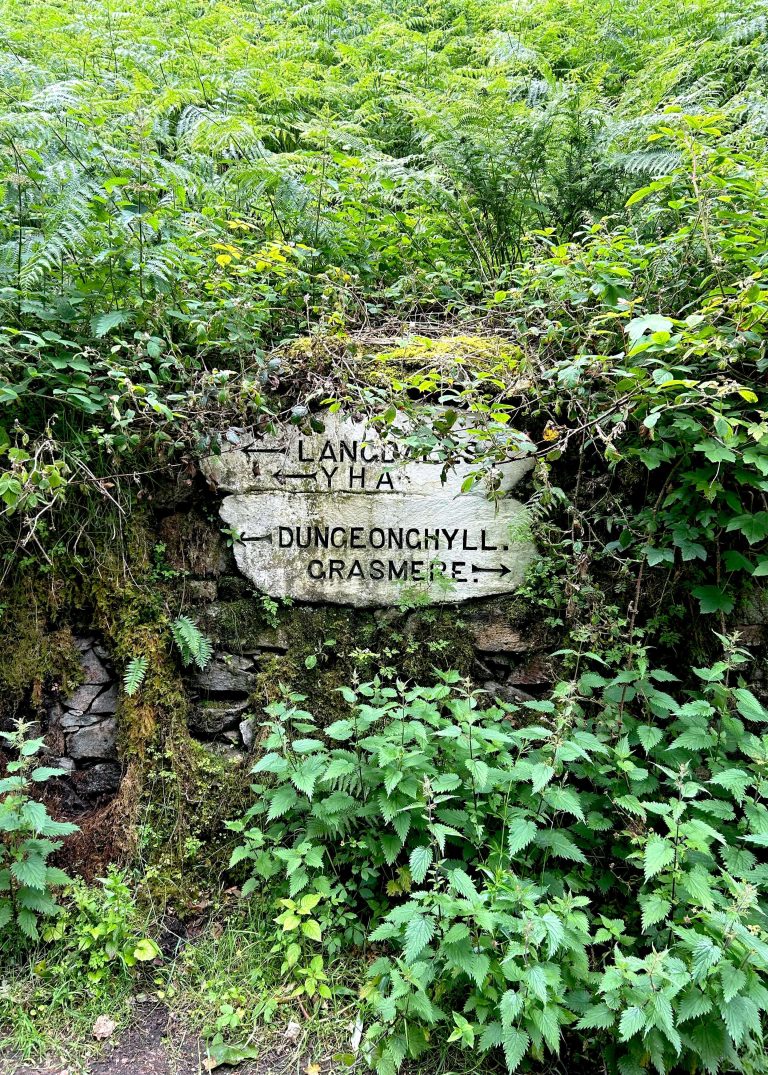 Sign surrounded by plants