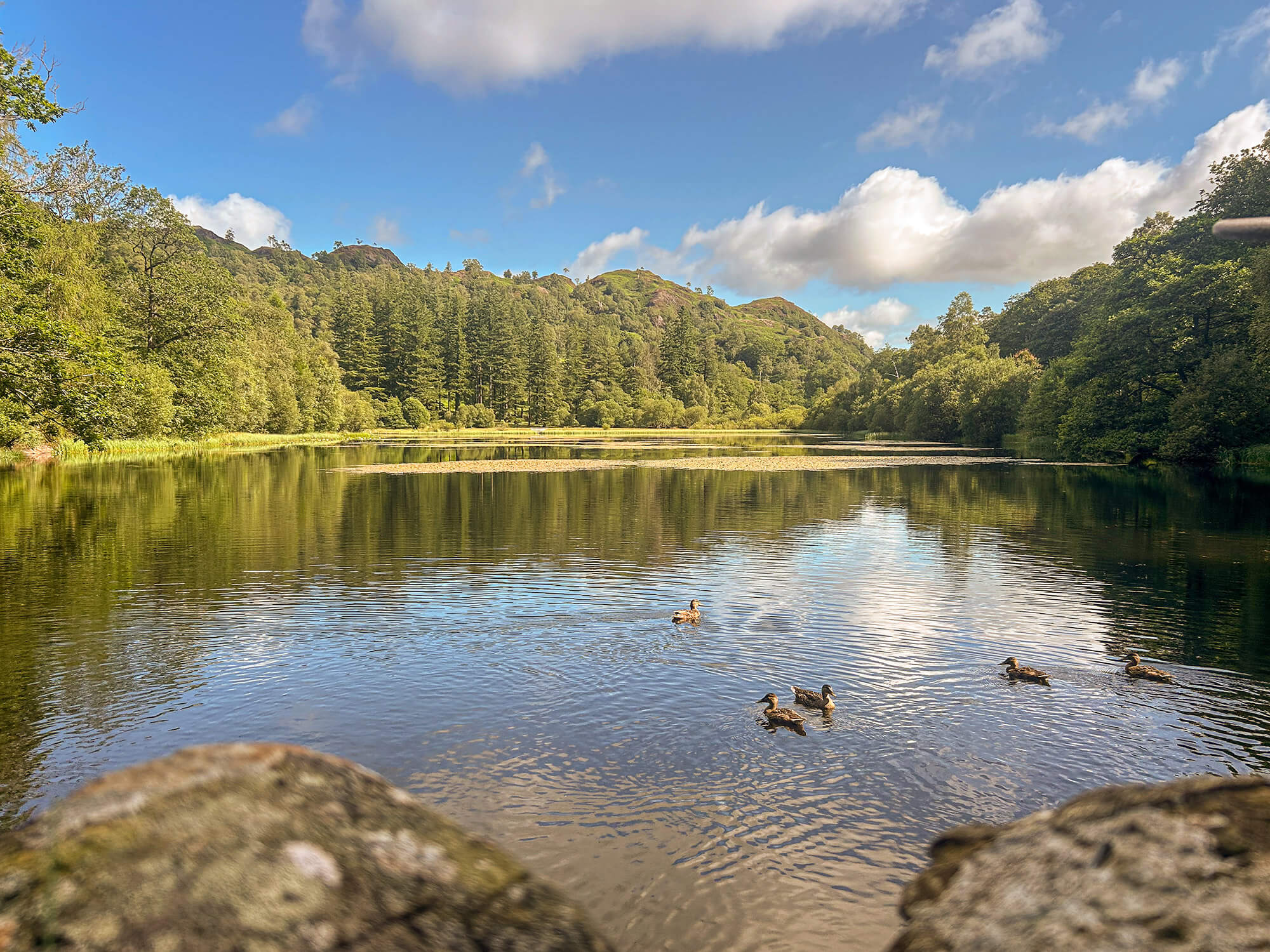Image: Yew Tree Tarn