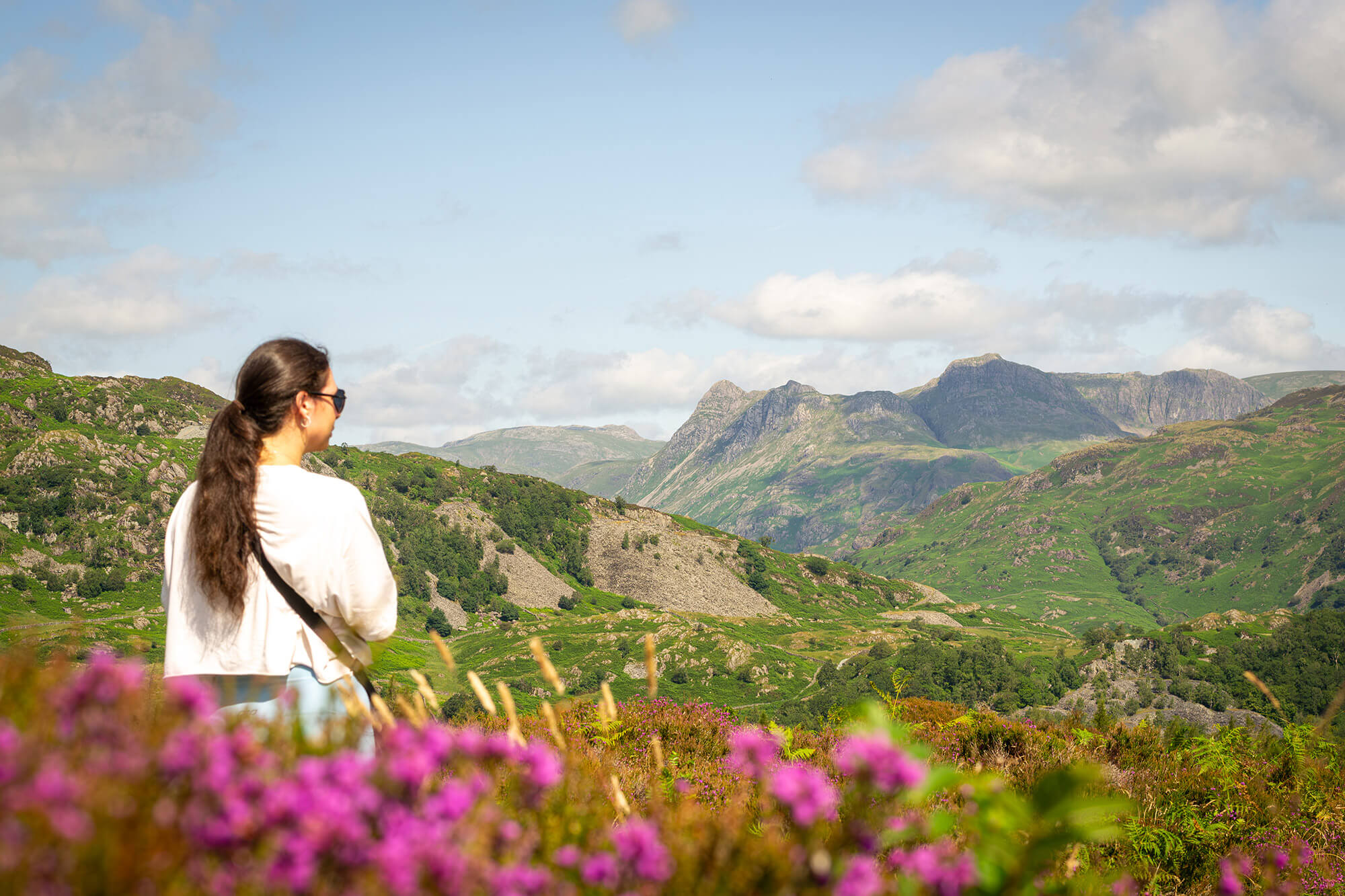 Image: Langdale Pikes from Ivy Crag, Holme Fell