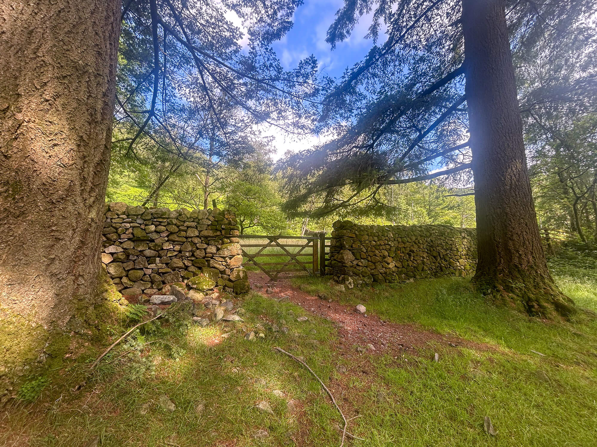 Image: Start Start point of Holme fell walk from Yew Tree Tarn