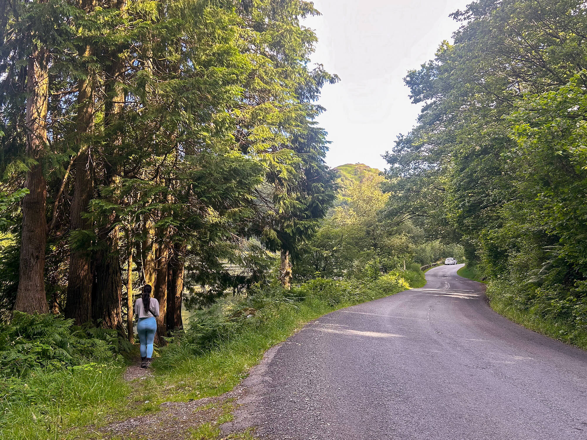 Image: View heading up the Uskdale Gap, Holme Fell, The Lake District